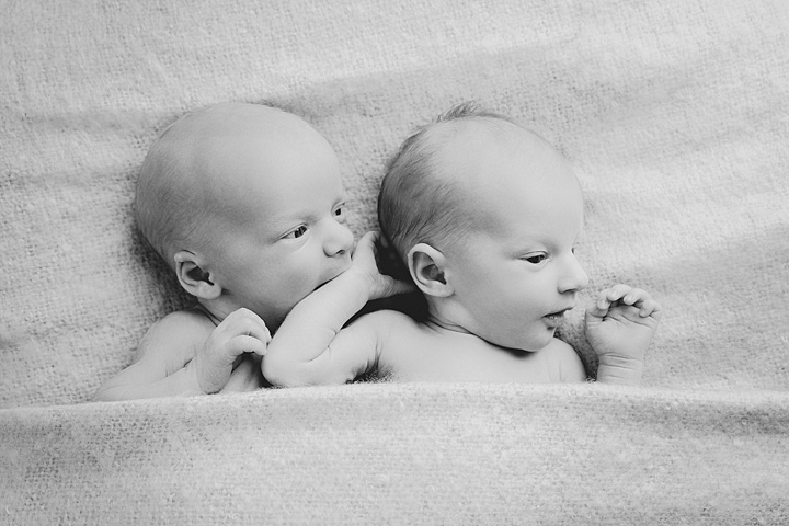 zwillingsfotografie-babyfotografie