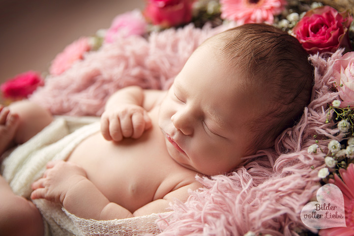 babybilder-berlin-babyberlin-neuenhagen-neugeborenenfotos-fotostudio-fotoshoot