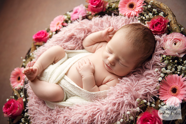 babyfotografie-berlin-brandenburg-babyfotograf-babyfotografin