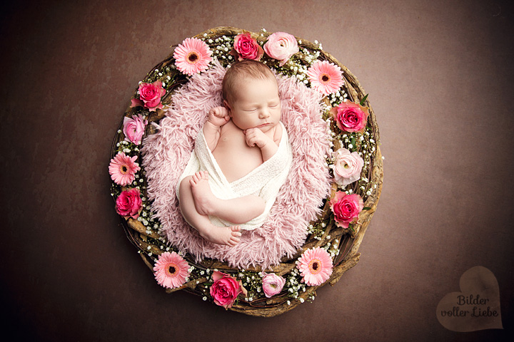 babyshooting-berlin-potsdam-neugeboren-fotografie-blumenkranz-bilder-voller-liebe